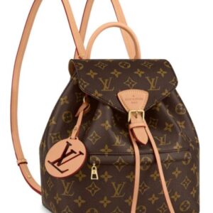 Louis Vuitton Montsouris PM M45501 M45515 Brown