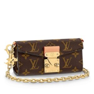 Louis Vuitton Bitsy Pouch M00991 Brown