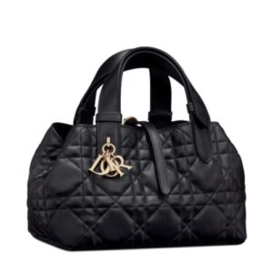 Christian Dior Small Dior Toujours Bag Black