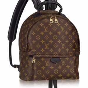 Louis vuitton Palm Springs Backpack MM M41560 Black