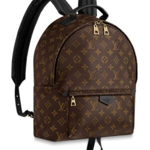 Louis vuitton Palm Springs Backpack PM M41561 Black