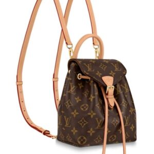 Louis Vuitton Montsouris BB M45502 M45516 Brown