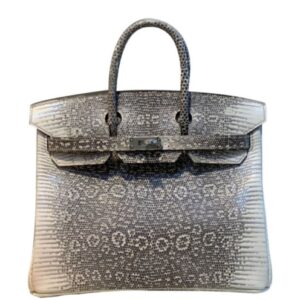 Hermes Birkin 25 Ombre Lizard Palladium Hardware Cream
