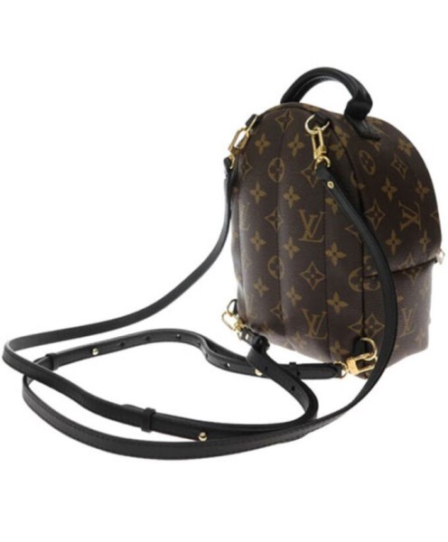 Louis Vuitton Monogram Palm Springs Backpack Mini Bag M41562 Brown - Image 3