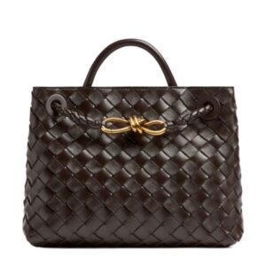 Bottega Veneta Small Andiamo Dark Coffee
