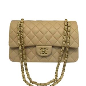 Chanel Women's Classic Flap Bag A01112 Apricot