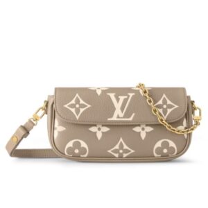 Louis Vuitton Wallet On Chain Ivy M82211 Gray