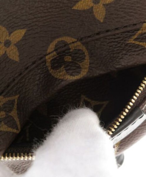 Louis Vuitton Monogram Palm Springs Backpack Mini Bag M41562 Brown - Image 5