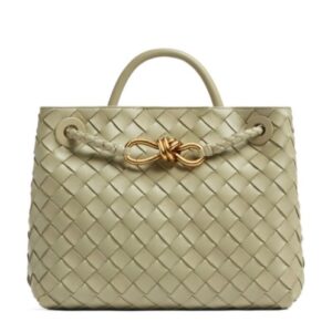 Bottega Veneta Small Andiamo Green